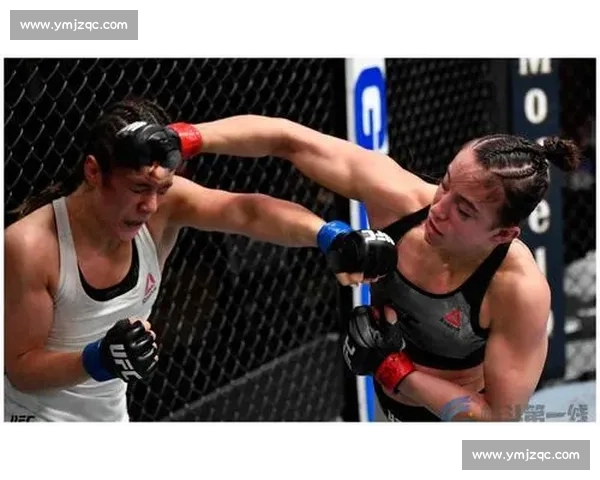 UFC 裁判手势与比赛规则详解:如何判定胜负?