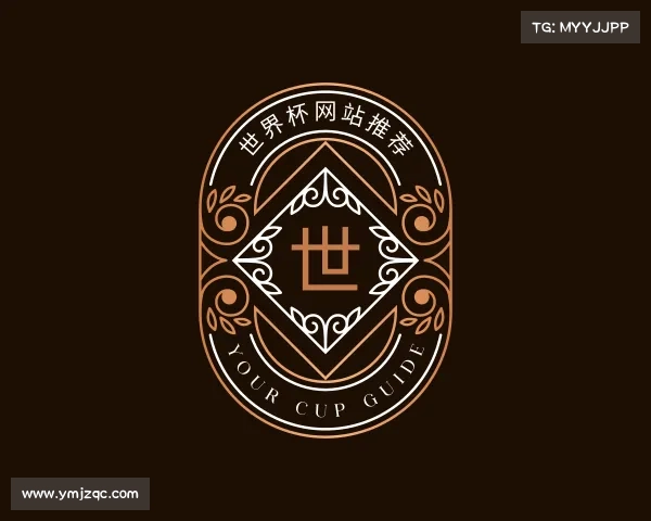 介绍世界杯网站推荐